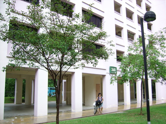 Blk 368 Tampines Street 34 (Tampines), HDB 4 Rooms #88832